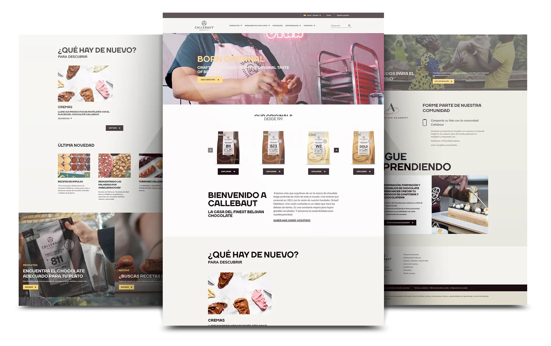 JOSE MARIA REDONDO PROYECTO CALLEBAUT